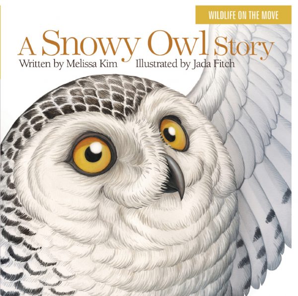snowy-owl-title